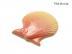 ⥶:ǥ󥿥  ȥ 116106 (TPC-T296)(15013TPC)