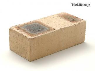 ��󥬡������ǥ˥�:��� P405(15405JTP)