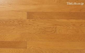 �ե������:�ʥ�ե������ ľŽ�� (ʣ��2mmñ��) Ⱦ�ĥ�(15421FOT)