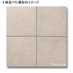 ʥĴ  299 (XTH-T600) (15483XTH)