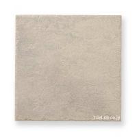 ʥĴ  299 (XTH-T602) (15485XTH)