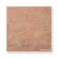 ʥĴ  299 (XTH-T604) (15487XTH)