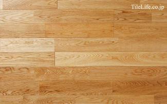 �ե������:�ʥ�ե������ �ϥ����졼�� (̵������˥�����) ���쥿������ �ĥ�̵�� 75D(15580NAS)