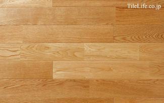 �ե������:�ʥ�ե������ �ϥ����졼�� (̵������˥�����) ���쥿������ �ĥ�̵��(15582NAS)