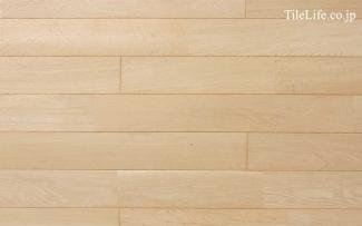 �ե������:�ʥ�ե������ �ϥ����졼�� (̵������˥�����) ̵����(15583NAS)