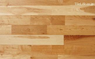 �ե������:�ʥ�ե������ �ʥ����� (̵������˥�����) ������ž夲(15585NAS)