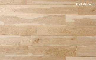 �ե������:�ʥ�ե������ �ʥ����� (̵������˥�����) ̵����(15586NAS)