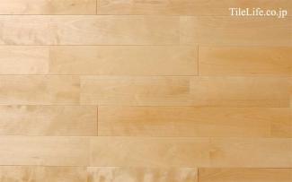 �ե������:���Хե������ �ϥ����졼�� (̵������˥�����) ���쥿������ �ĥ�̵��(15589NAS)