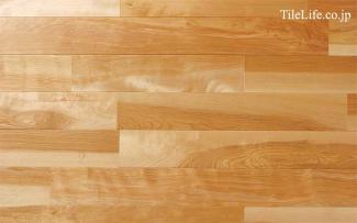 �ե������:���Хե������ ����������� (̵������˥�����) ���쥿������ �ĥ�̵��(15592NAS)