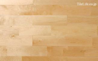 �ե������:���Хե������ �ʥ����� (̵������˥�����) ���쥿������ �ĥ�̵��(15593NAS)