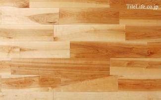 �ե������:���Хե������ �ʥ����� (̵������˥�����) ������ž夲(15594NAS)