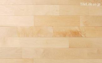 �ե������:���Хե������ �ʥ����� (̵������˥�����) ̵����(15595NAS)