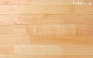 �ե������:����Хե������ �ϥ����졼�� (̵������˥�����) ���쥿������ �ĥ�̵��(15596NAS)