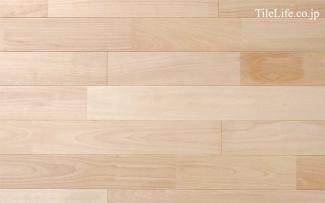 �ե������:����Хե������ �ϥ����졼�� (̵������˥�����) ̵����(15597NAS)