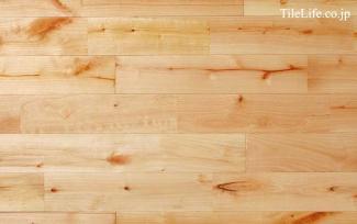 �ե������:����Хե������ �ʥ����� (̵������˥�����) ���쥿������ �ĥ�̵��(15598NAS)