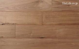 �ե������:��������ʥåȥե������ (̵��) ���� ��� ̵����(15599NAS)