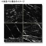 ͥ˥ 300  (᡼: CGN) (15687CGN)