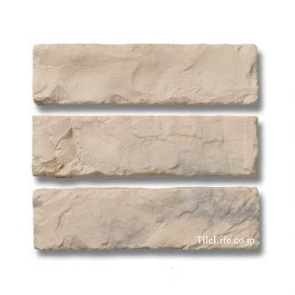 �ۿ��ɻ߲ù��Ѥ� �����ȷϥ֥�å������� �ե�åȥ����� 227��60�� (ERM-T21)