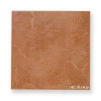 ƥ饳åĴ  300  (TMR-T123) (16112TMR)