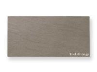 Ĵ  600300  (TMR-T143) (16132TMR)