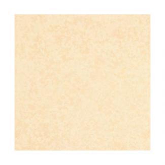 �֥��ɥ�����:�ꥯ����(INAX) ���������� �ߥ��ƥ��ͥ�200 200mm��ʿ MN-200/WJ22(17160LIX)