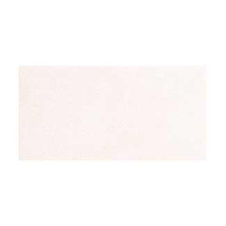 �֥��ɥ�����:�ꥯ����(INAX) ���������� ����ޥåȡ��ͥ� 200X100�ѥͥå�ĥ�� CM-210NET/1(17763LIX)