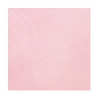 �֥��ɥ�����:�ꥯ����(INAX) ���������� �륷���� 100mm�ѥͥå�ĥ�� LC-100NET/6(17845LIX)