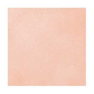 �֥��ɥ�����:�ꥯ����(INAX) ���������� �륷���� 100mm�ѥͥå�ĥ�� LC-100NET/7(17846LIX)