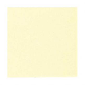 �֥��ɥ�����:�ꥯ����(INAX) ���������� �ߥǥ塼��֥饤��100��150 100mm�ѥͥå�ĥ�� MLP-100NET/1012(17949LIX)