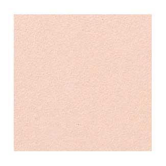 �֥��ɥ�����:�ꥯ����(INAX) �������� ��ޤ�깳�ݾ������� �ߥ��ƥ��ե�������ߥå�S 200mm��ʿ NPKC-200/F33S(18257LIX)