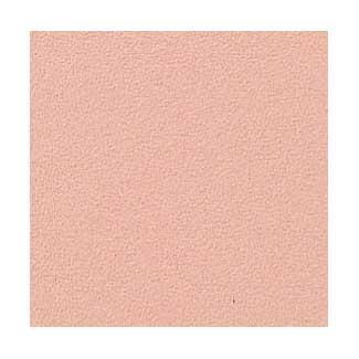 �֥��ɥ�����:�ꥯ����(INAX) �������� ��ޤ�깳�ݾ������� �ߥ��ƥ��ե�������ߥå�S 200mm��ʿ NPKC-200/F36S(18258LIX)