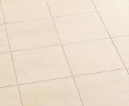 ꥯ(INAX) ʪ ǥ 300X100ѿɡ() RDT-301/1 (19354LIX)