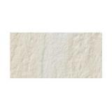 ꥯ(INAX)  쥹 300X150ʿ ALS-315/1 (20564LIX)