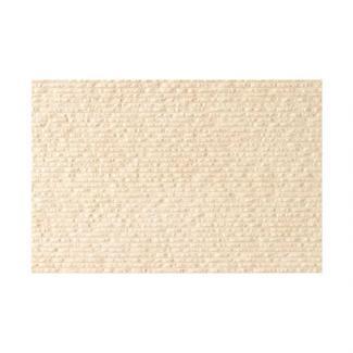 �֥��ɥ�����:�ꥯ����(INAX) ����������  303X455��ʿ ECO-345/RBS3(22097LIX)