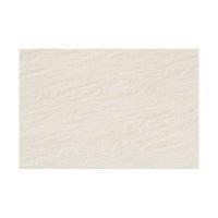 ꥯ(INAX)  å ĥȡ 303X455ʿ ECO-345/QS2 (22114TMN)