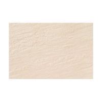 ꥯ(INAX)  å ĥȡ 303X455ʿ ECO-345/QS3 (22115TMN)