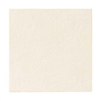 �֥��ɥ�����:�ꥯ����(INAX) ���������� ��������å� �ե�����١��� 303��ʿ ECO-303/NN1(22169LIX)