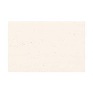 ����������:�ꥯ����(INAX) ���������� ��������å� �����ꥪ �ȥ�С����� 303X455�� ECOL-345/RFN-1(22226TMN)