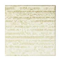  ز 115 YG-123_T (22307XIS)
