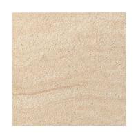 ������ �������֥��ȡ��� 450�� ���� ������ GSR-451_T (22340XIS)