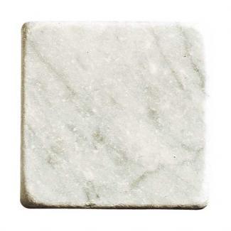 �к�:����ƥ������к� ����åȥ� 100��25�� �ӥ��󥳥���� CA-7_T(22532SXE)