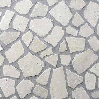 �к�:����ƥ������к� ����åȥ���� 25�� �ܥƥ����� CP-2_T(22570SXE)