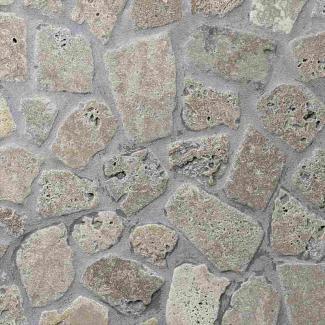 �к�:����ƥ������к� ����åȥ���� 25�� �ȥ�٥�����ΥΡ����� CP-4_T(22572SXE)