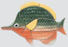 ȥ ɥ꡼ NEEDLENOSE FISH_T (23118CPC)