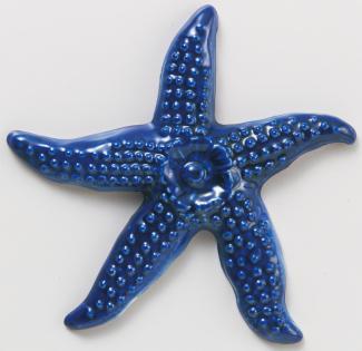 �֥��ɥ�����:��������ȥ����� �������������ɥ��꡼�� STARFISH COBALT_T(23119CPC)