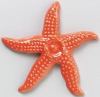 ȥ ɥ꡼ STARFISH ORANGE_T (23120CPC)