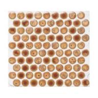 �⥶���������� GEM OLG-112_T(��500/�����Ȱʲ�) (23457XMW)