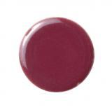 �ɥ����� �ץꥻ��19V 19��ʿ(ɽ)��ĥ��[14��16γ] ��:06V(��750/�����Ȱʲ�) (23620NTU)