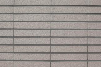 �֥��ɥ�����:���ɥ����� SG�֥ͥ�ܡ����� SB-40_T(23759SUG)