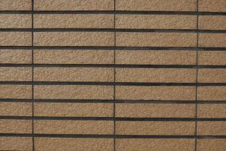 �֥��ɥ�����:���ɥ����� SG�֥ͥ�ܡ����� SB-60_T(23761SUG)